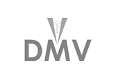 DMV